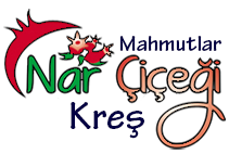 Narçiçeği Mahmutlar Logo